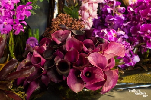 rua-das-flores-3730