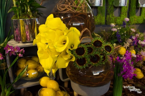 rua-das-flores-3734