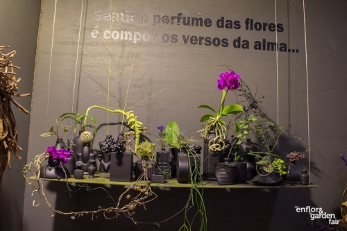 rua-das-flores-3744