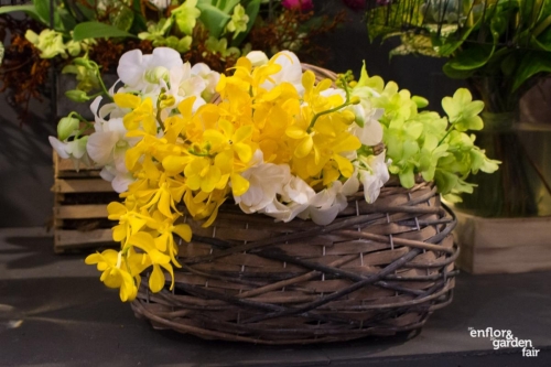 rua-das-flores-3748