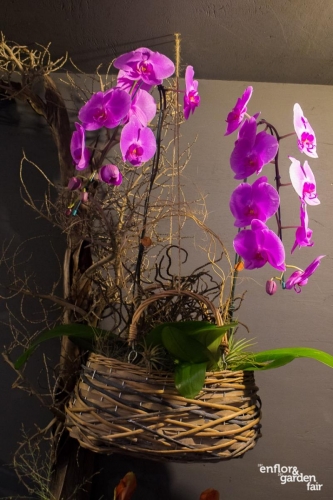 rua-das-flores-3750