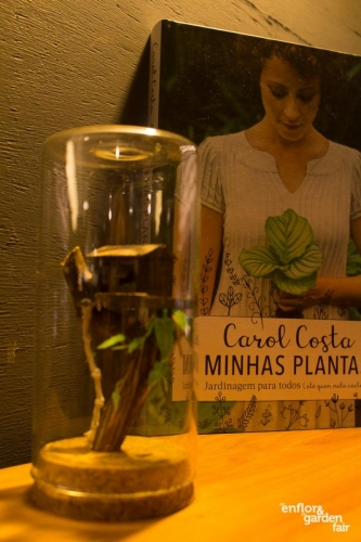 rua-das-flores-3765