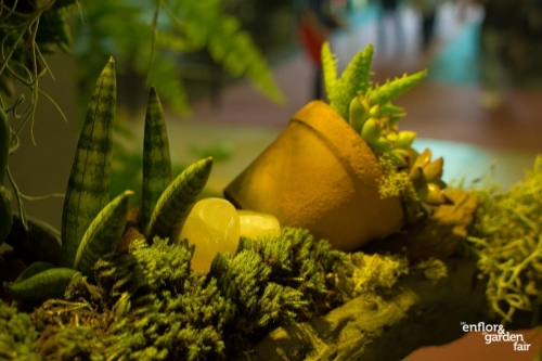 rua-das-flores-3767