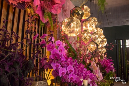 rua-das-flores-3790